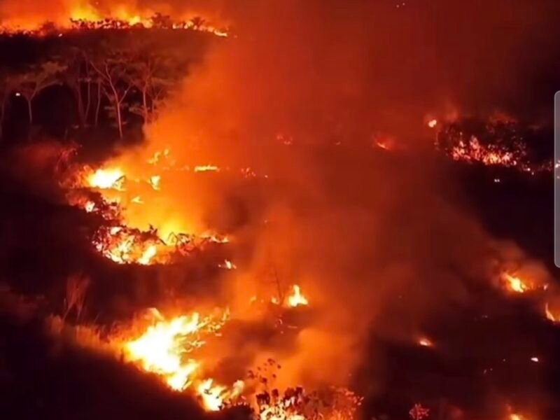 O CEMITÉRIO VERDE E A OMISSÃO QUE TRANSFORMA A AMAZÔNIA EM CINZAS