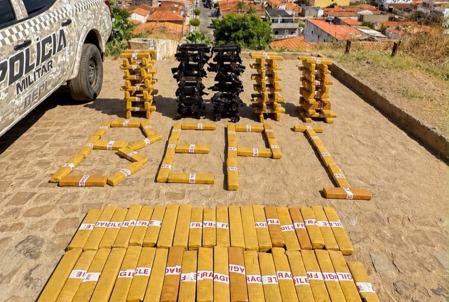 Cerca de 150 kg de maconha são apreendidos em mata de Picos; suspeito é preso